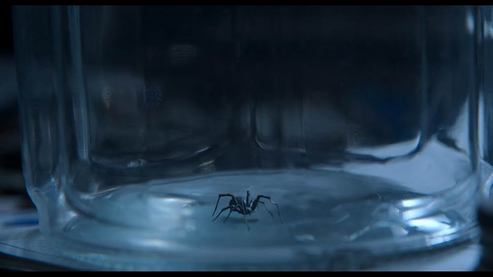 「Sting（原題）」の画像