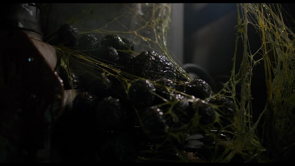 「Sting（原題）」の画像