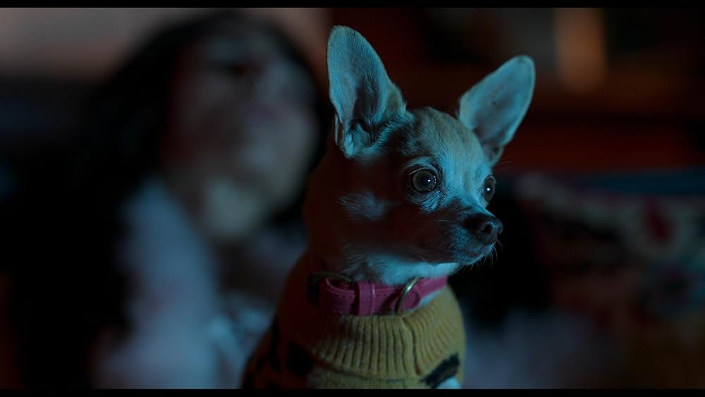 「Sting（原題）」の画像