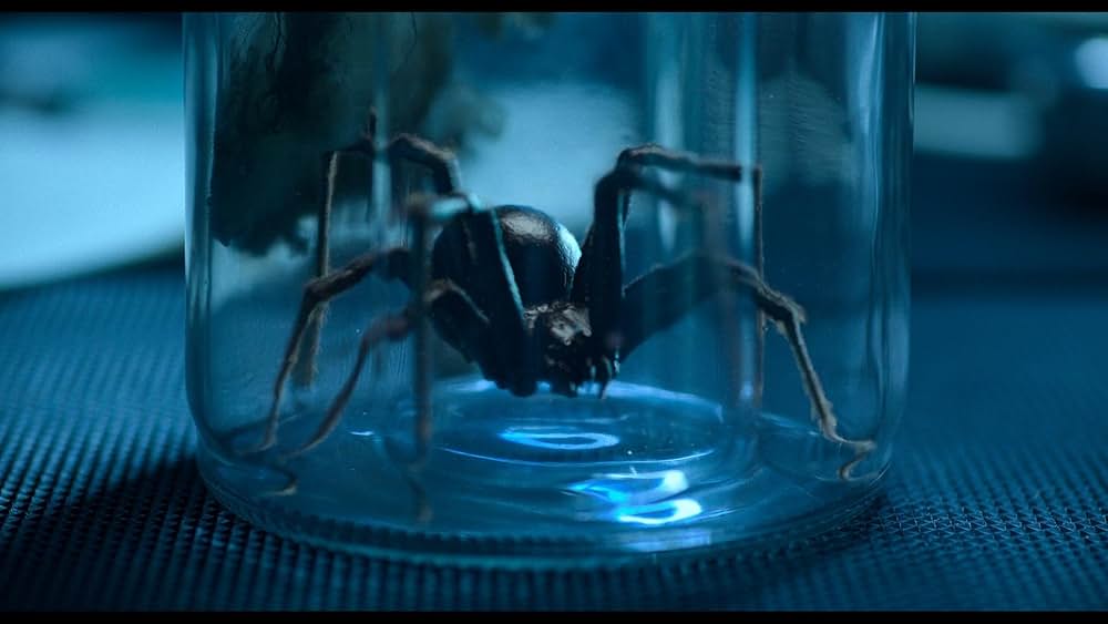 「Sting（原題）」の画像