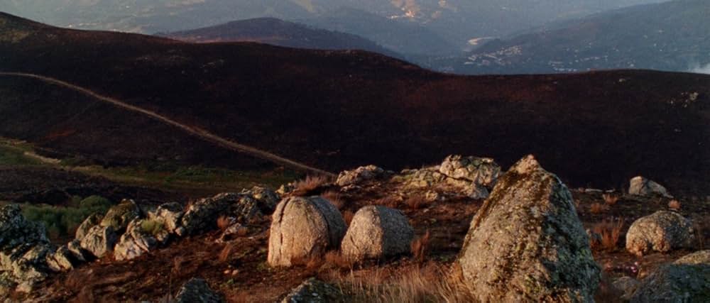 アラビアン・ナイト 第１部 休息のない人々の画像