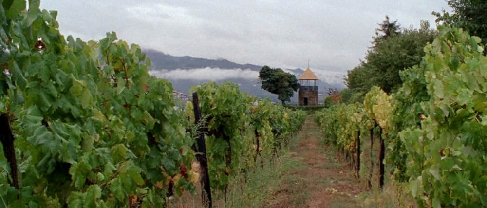 アラビアン・ナイト 第１部 休息のない人々の画像