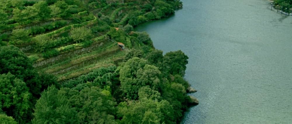 アラビアン・ナイト 第１部 休息のない人々の画像