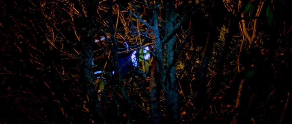 アラビアン・ナイト 第１部 休息のない人々の画像