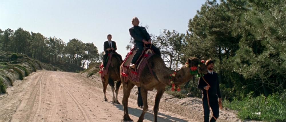 アラビアン・ナイト 第１部 休息のない人々の画像