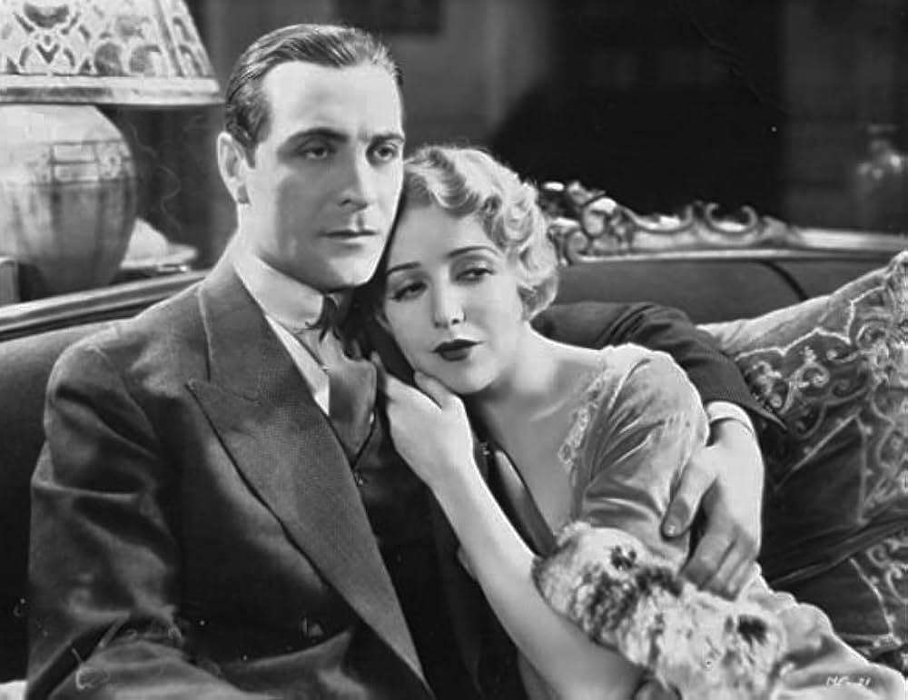 マルタの鷹の画像