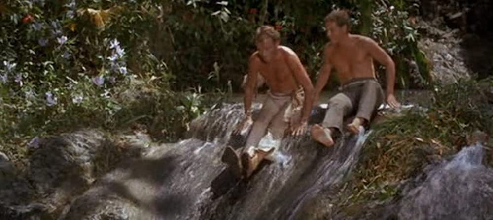 「南海漂流／スイスファミリーロビンソン」ジェームズ・マッカーサーの画像