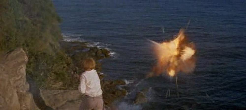 南海漂流／スイスファミリーロビンソンの画像