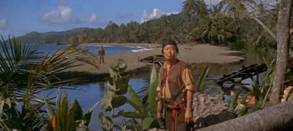 南海漂流／スイスファミリーロビンソンの画像