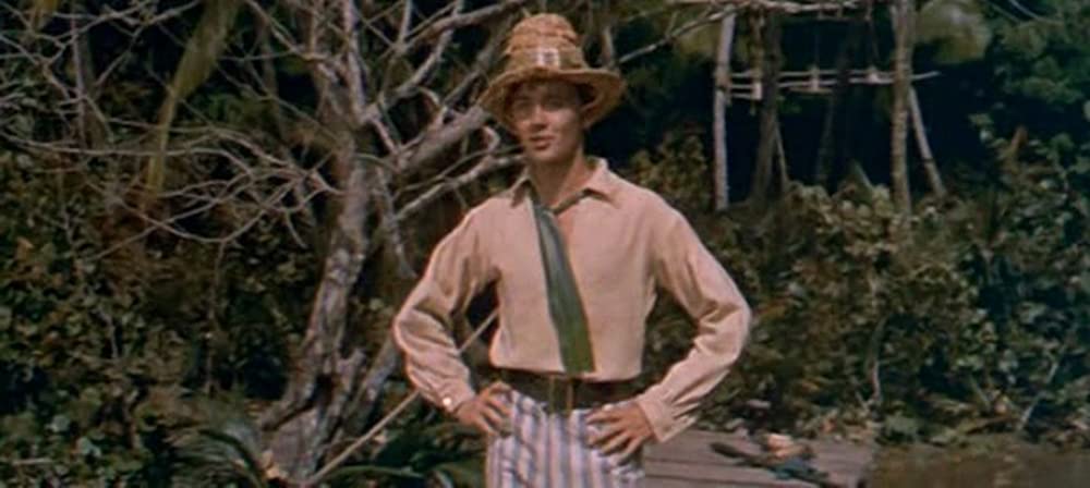 「南海漂流／スイスファミリーロビンソン」トミー・カークの画像