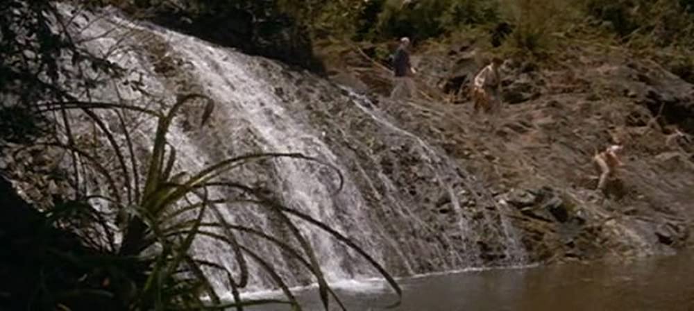 南海漂流／スイスファミリーロビンソンの画像