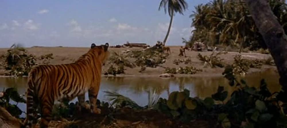 南海漂流／スイスファミリーロビンソンの画像