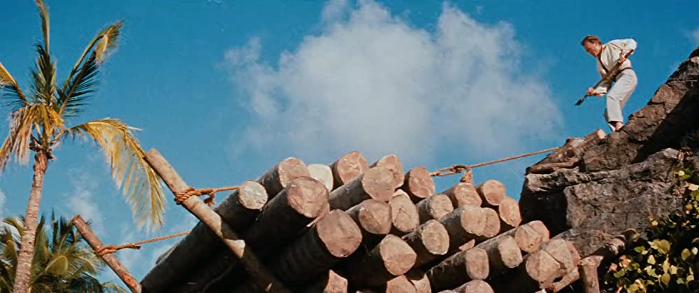 南海漂流／スイスファミリーロビンソンの画像