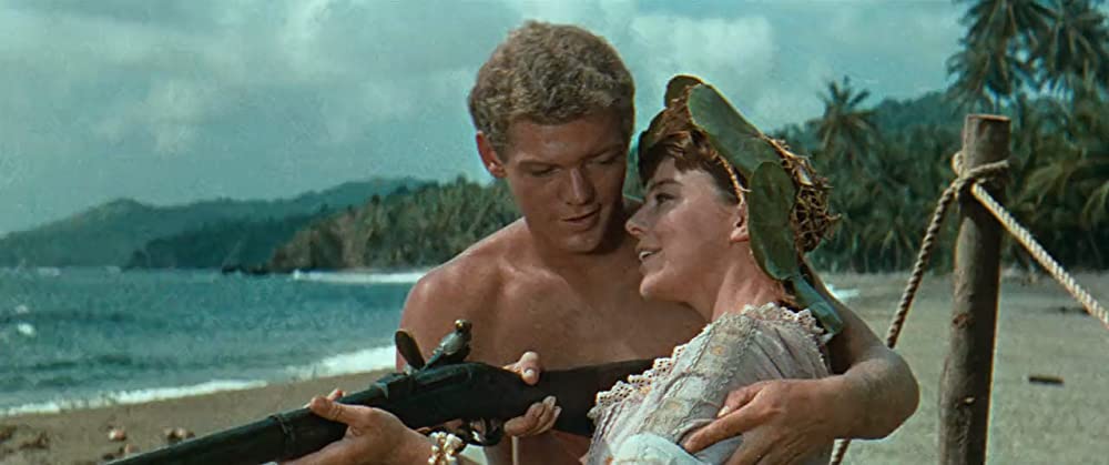 南海漂流／スイスファミリーロビンソンの画像