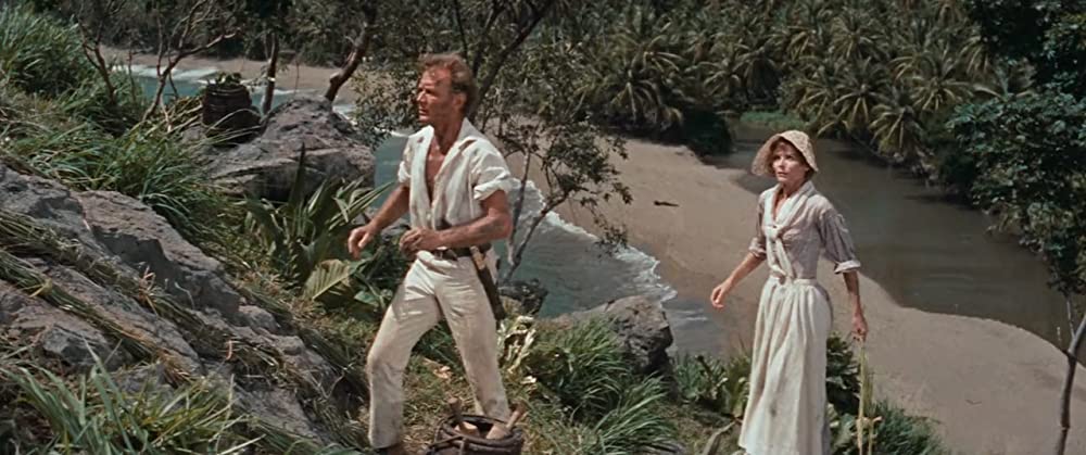 南海漂流／スイスファミリーロビンソンの画像