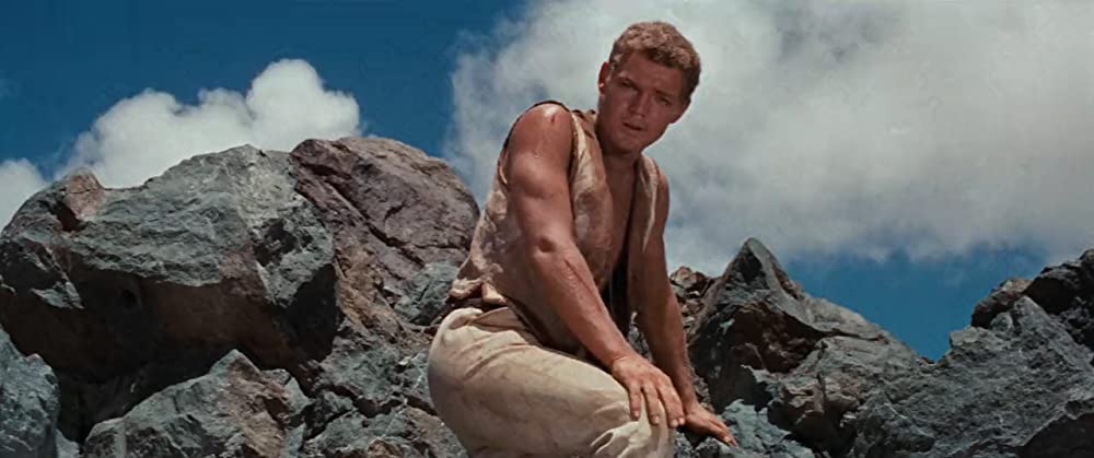 南海漂流／スイスファミリーロビンソンの画像