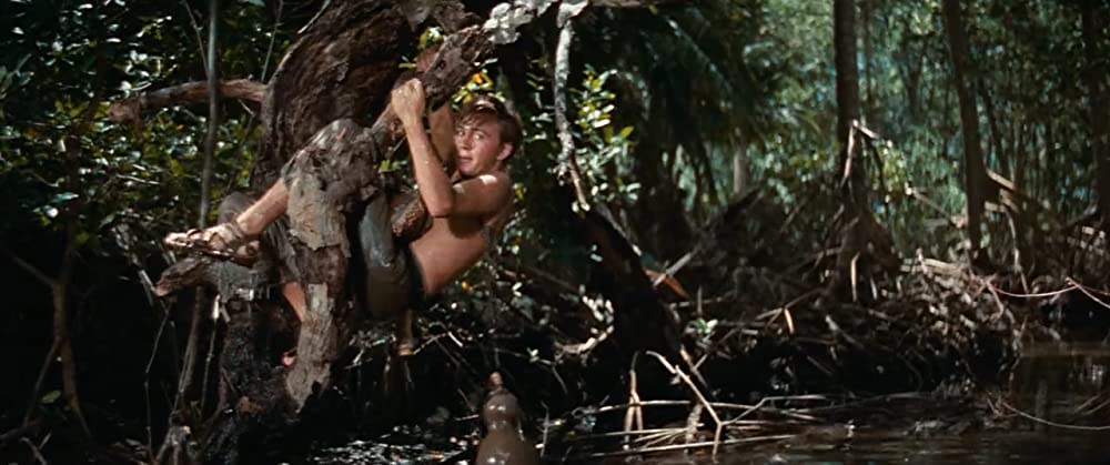 「南海漂流／スイスファミリーロビンソン」トミー・カークの画像