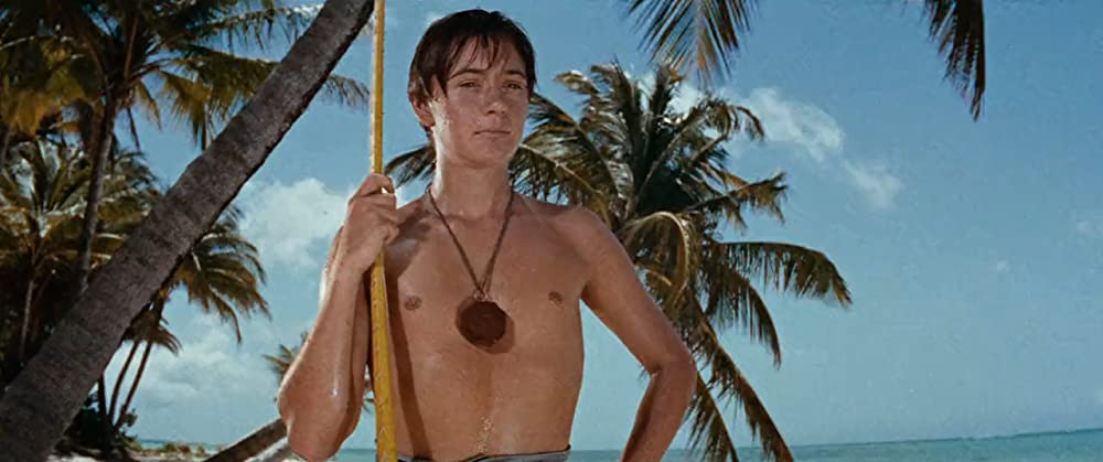 「南海漂流／スイスファミリーロビンソン」トミー・カークの画像