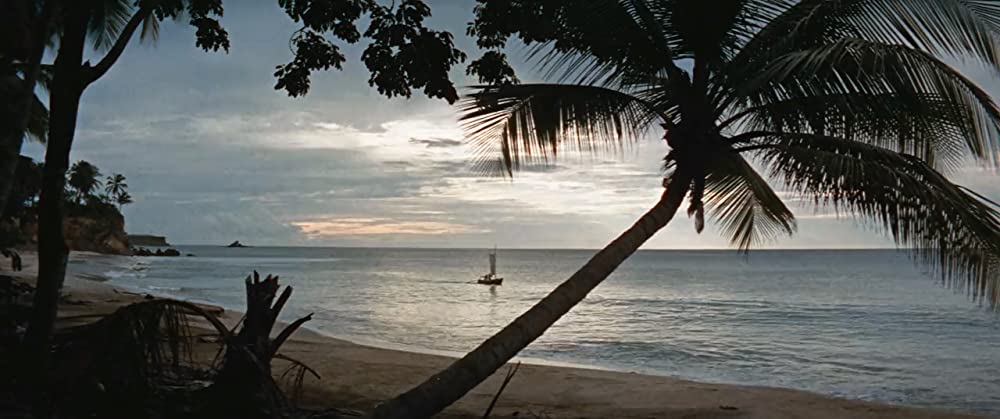 南海漂流／スイスファミリーロビンソンの画像