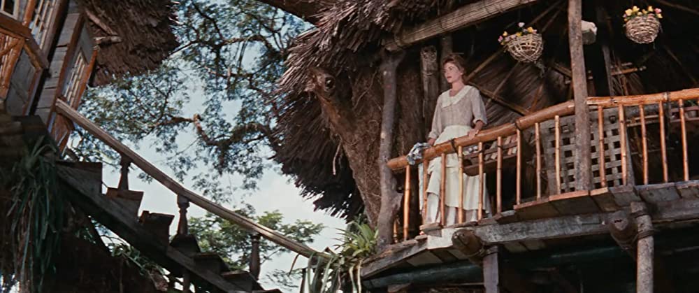 南海漂流／スイスファミリーロビンソンの画像