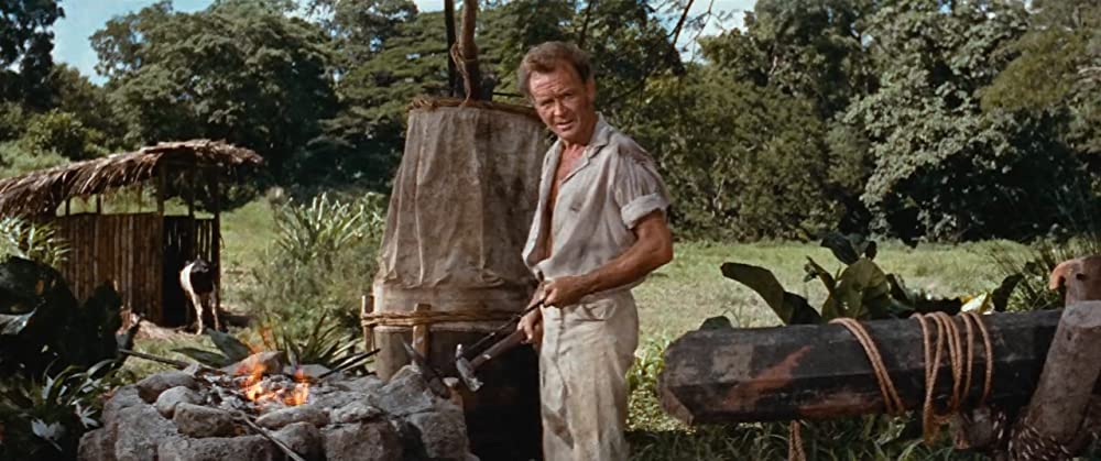 南海漂流／スイスファミリーロビンソンの画像