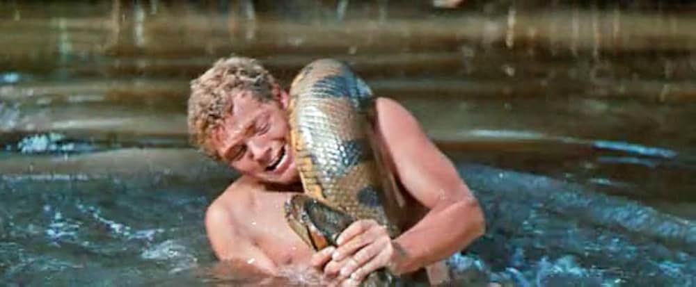 南海漂流／スイスファミリーロビンソンの画像