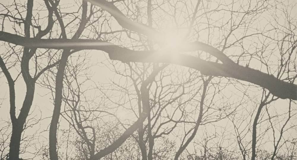 HOWL 吠えるの画像