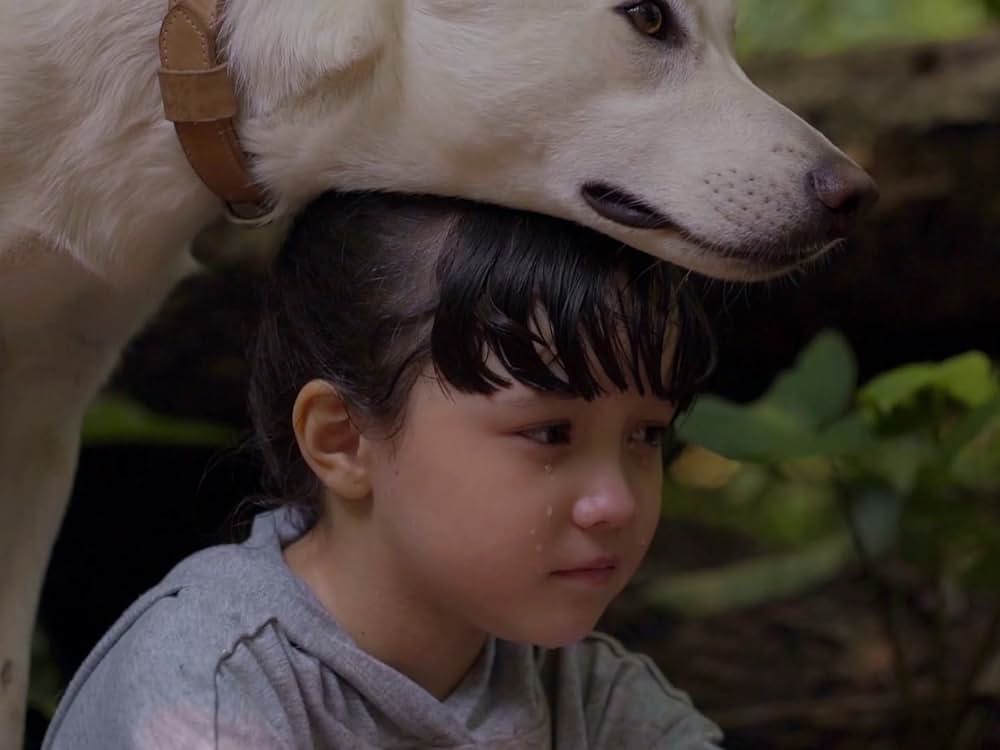 ジューン&コピの画像