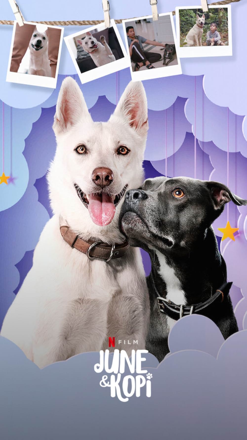 ジューン&コピの画像