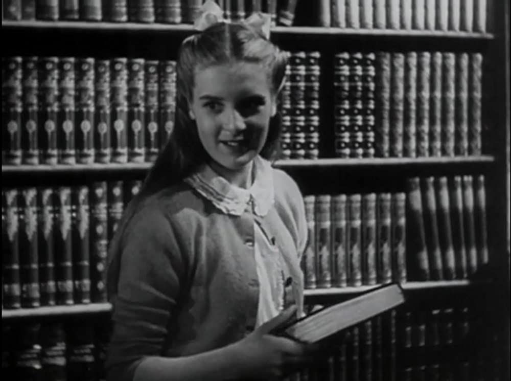 新ロビンソン漂流記の画像