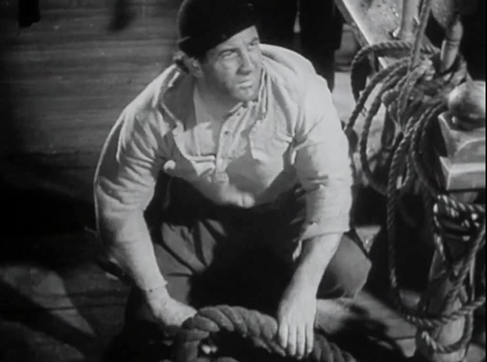 新ロビンソン漂流記の画像