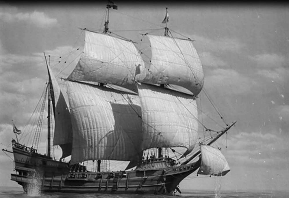 シー・ホークの画像