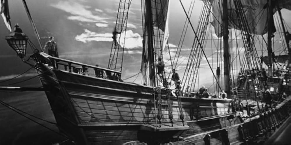 シー・ホークの画像