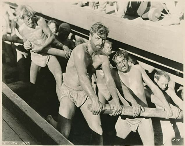 シー・ホークの画像