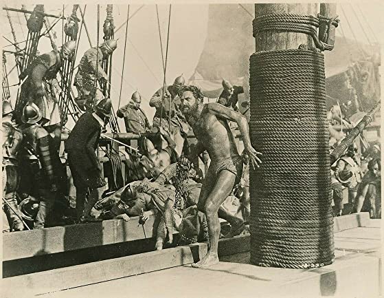 シー・ホークの画像