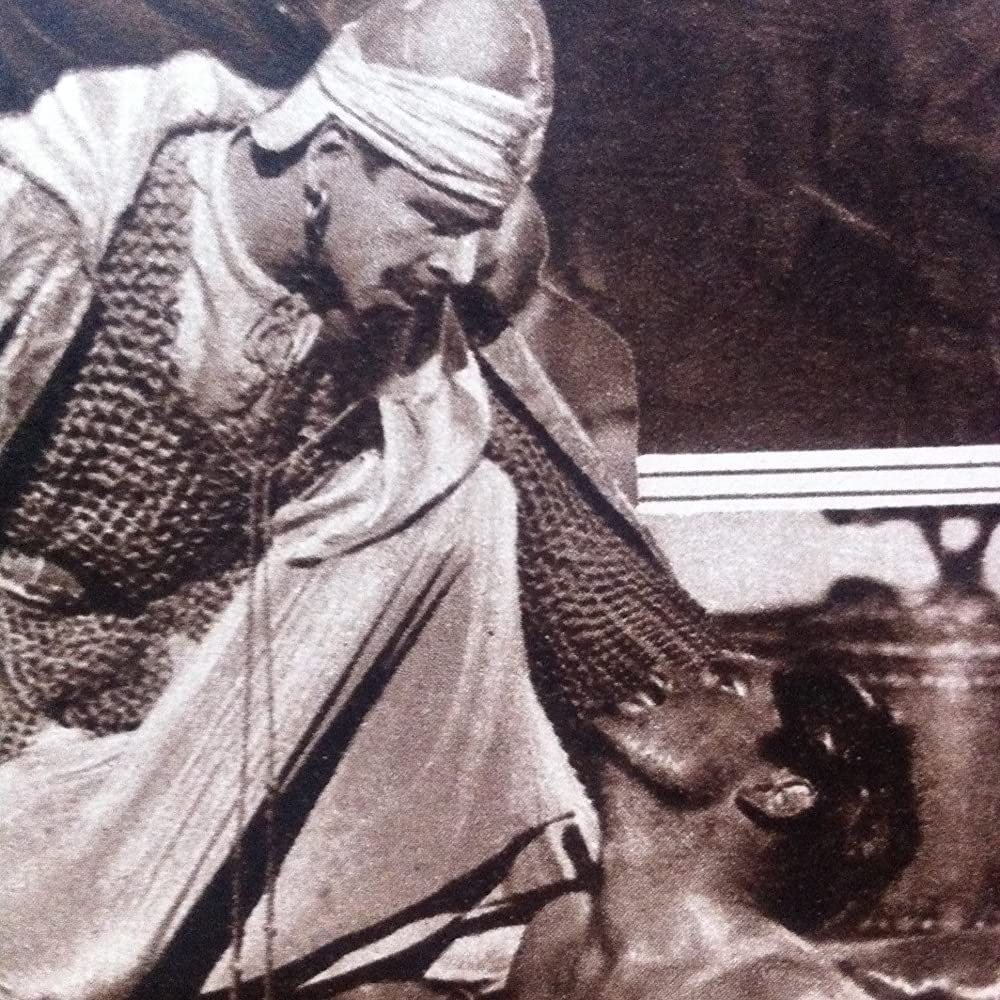 シー・ホークの画像