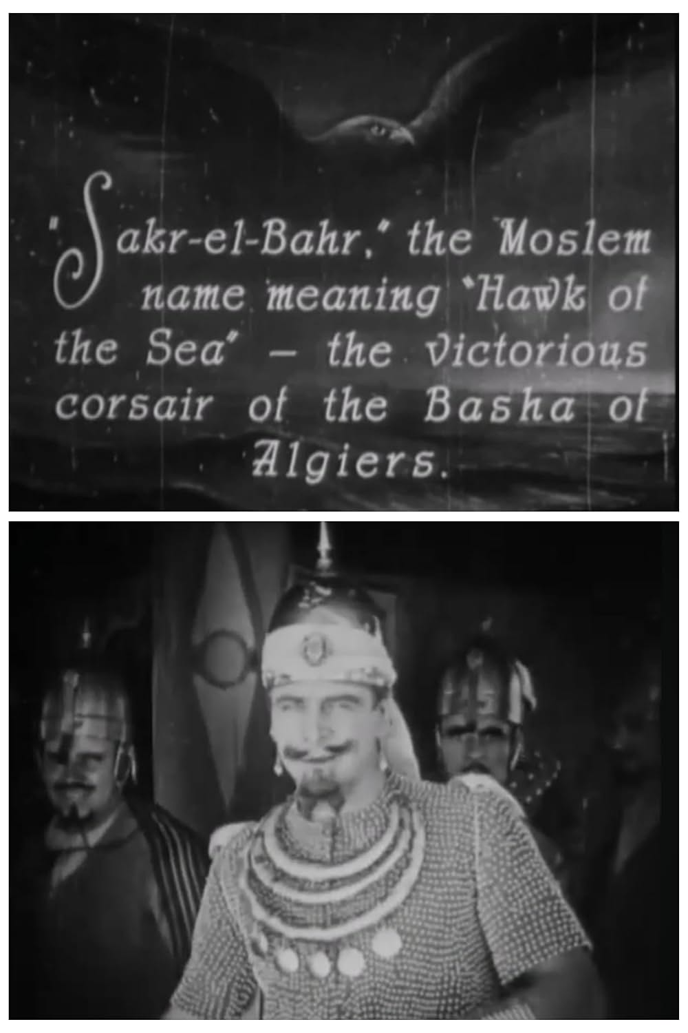 シー・ホークの画像