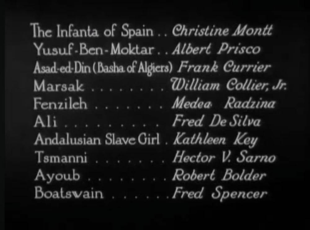 シー・ホークの画像