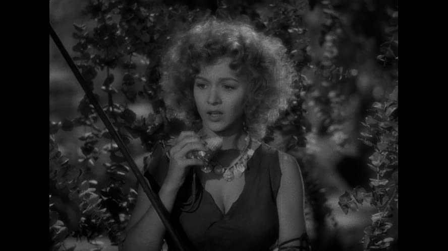 紀元前百万年の画像