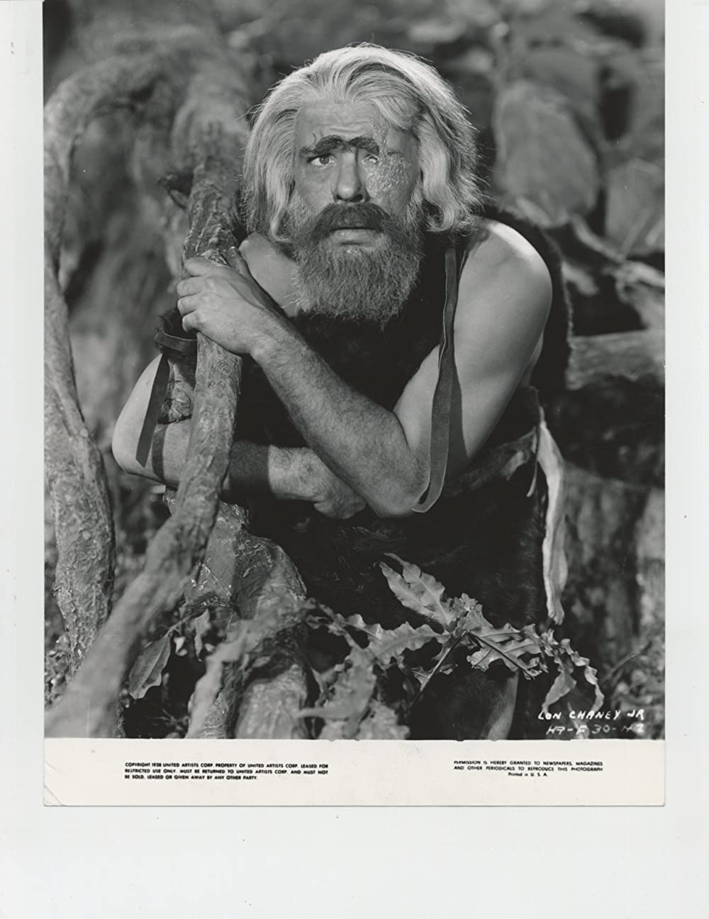 紀元前百万年の画像