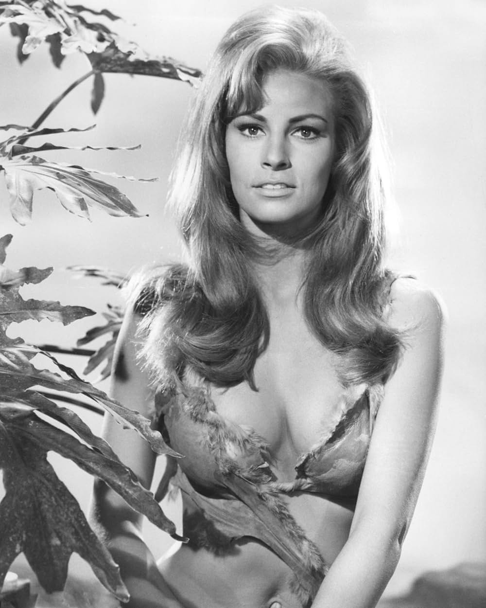 恐竜100万年の画像