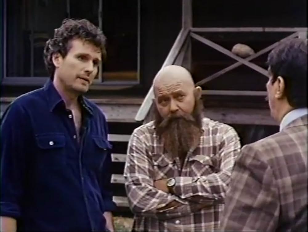 ネイビー襲撃！／ソルジャー・コブラの画像