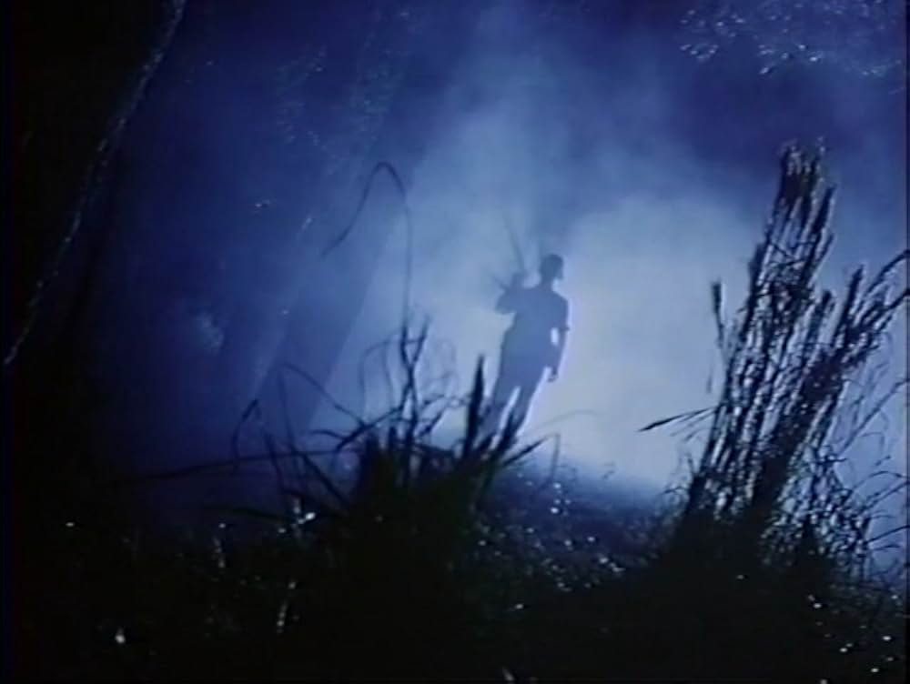 ネイビー襲撃！／ソルジャー・コブラの画像