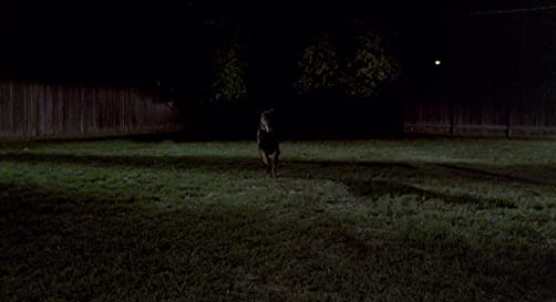 赤ちゃん泥棒の画像