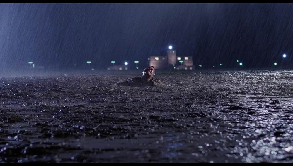 赤ちゃん泥棒の画像