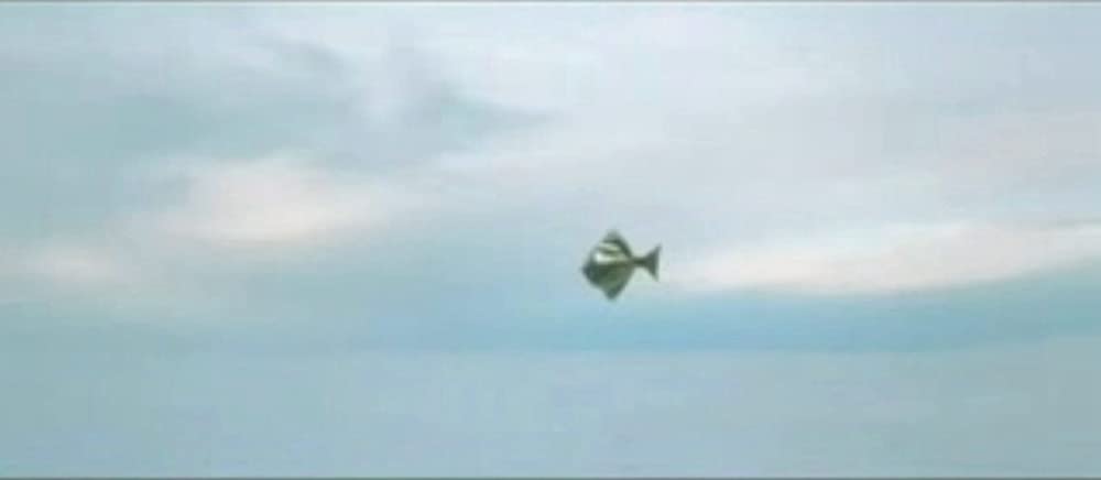 アリゾナ・ドリームの画像