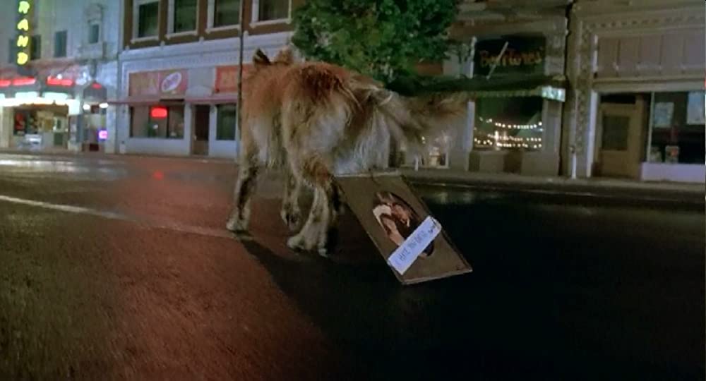 アリゾナ・ドリームの画像