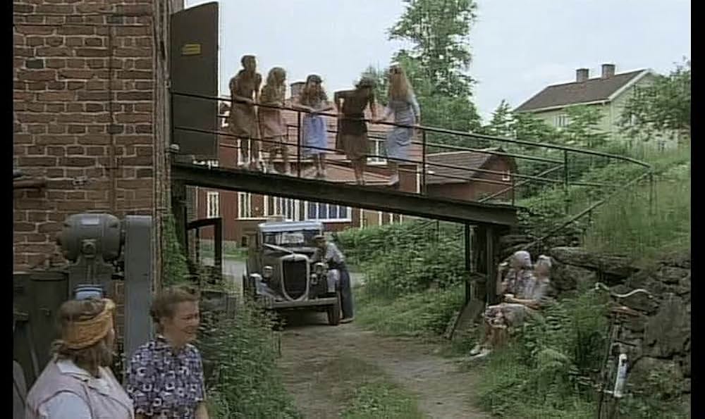 気取り屋の画像