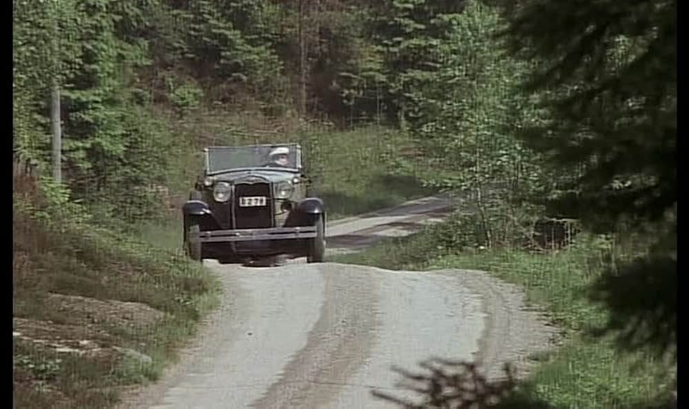 気取り屋の画像