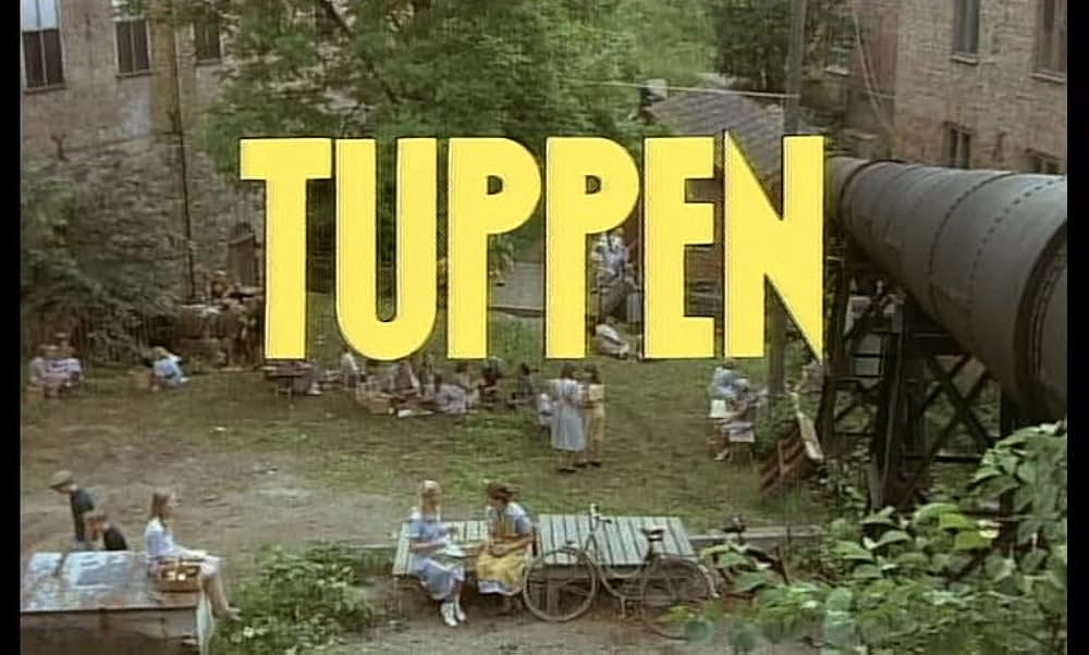 気取り屋の画像